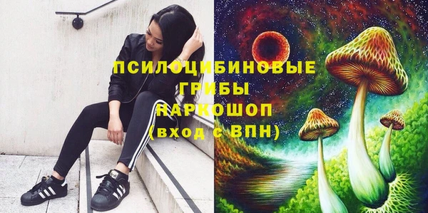 прущие грибы Баксан