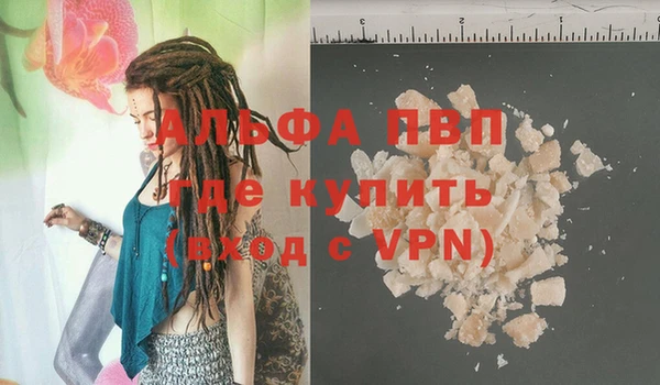 прущие грибы Баксан